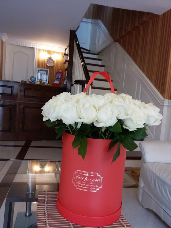 Anata Guest House טביליסי מראה חיצוני תמונה